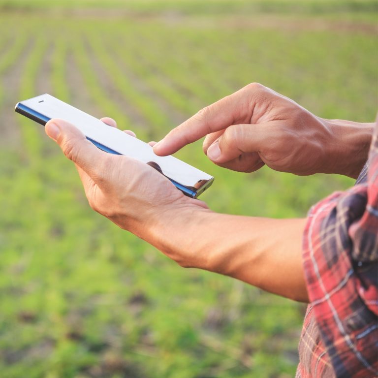 Crop traceability enhances transparency in agriculture