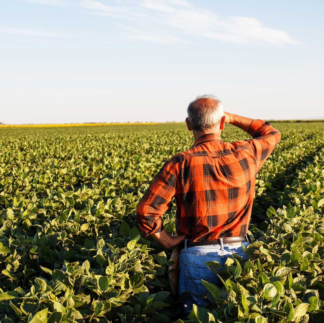 bg-senior_farmer-001-PointImages