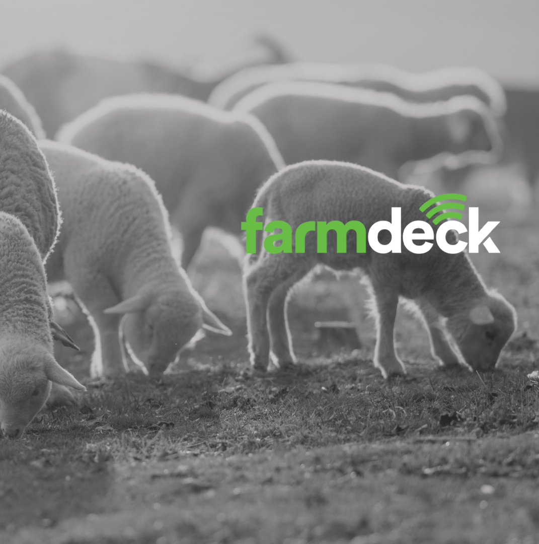 farmdeck grey-48