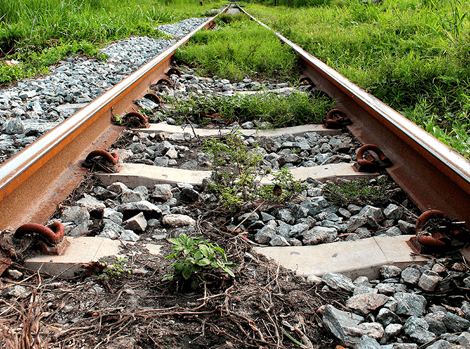 4a rail-weeds