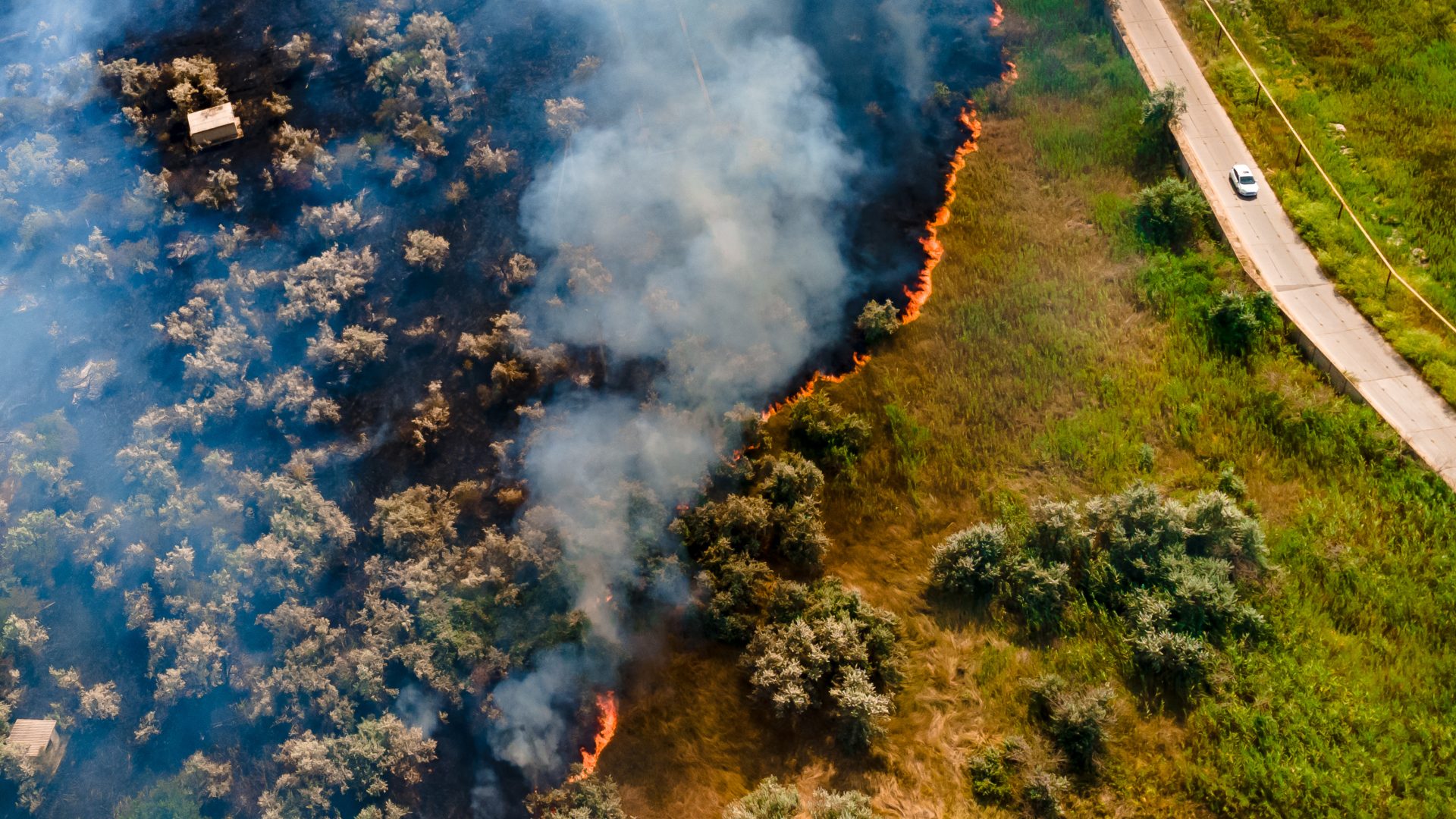 Top view at the beginning of the fire in a grassy field near the road