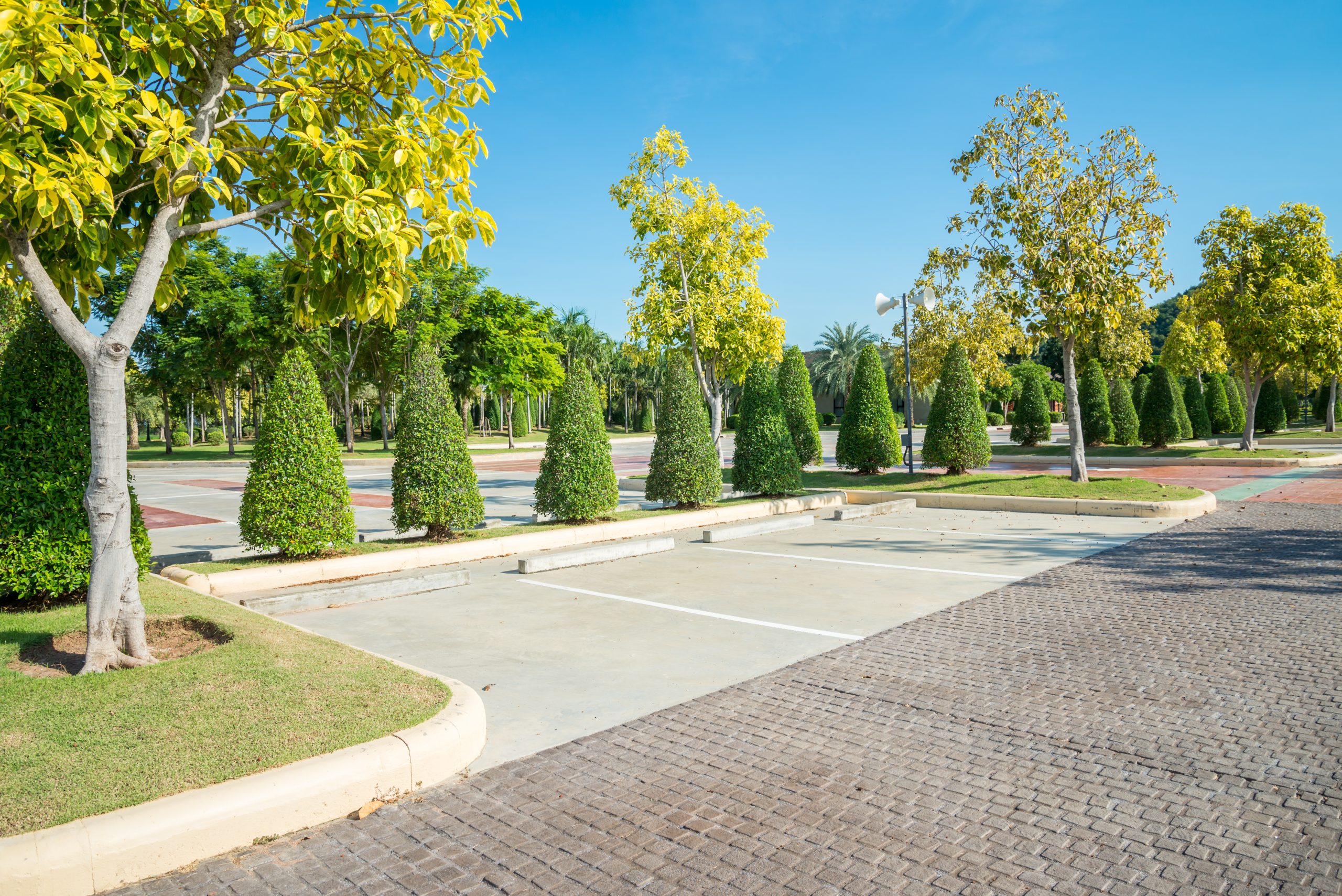 Empty space in city park outdoor concrete parking lot area with blue sky in summer season. Green nature gardening in car parking lot. Friendly environmental and transportation concept.