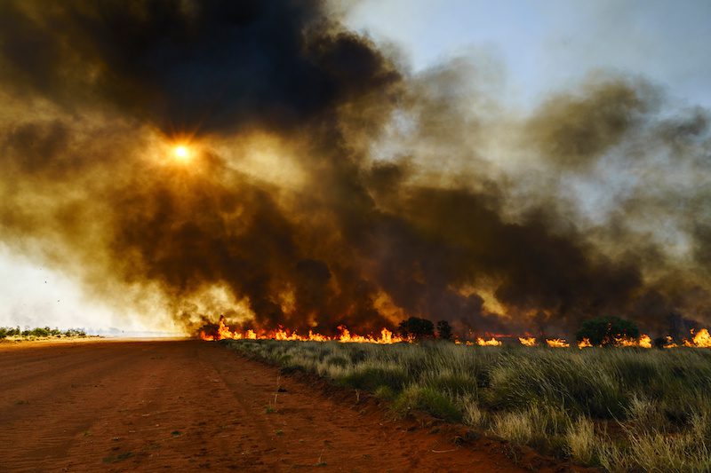 bush-smoke-3