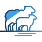 365 Mesh icons - Public Safety & Emergency Response_Object, People, Animal Identification & Recognition-Classification-16