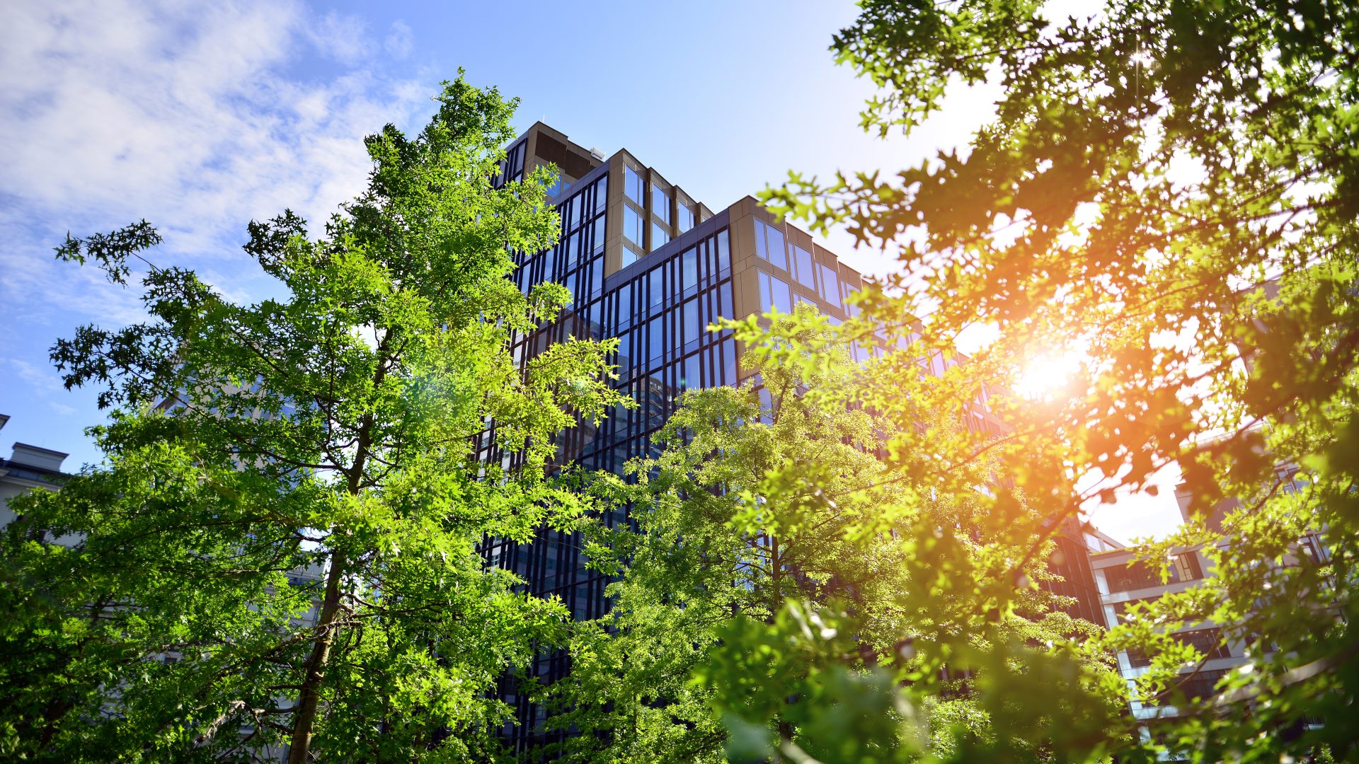Eco architecture. Green tree and glass office building. The harm