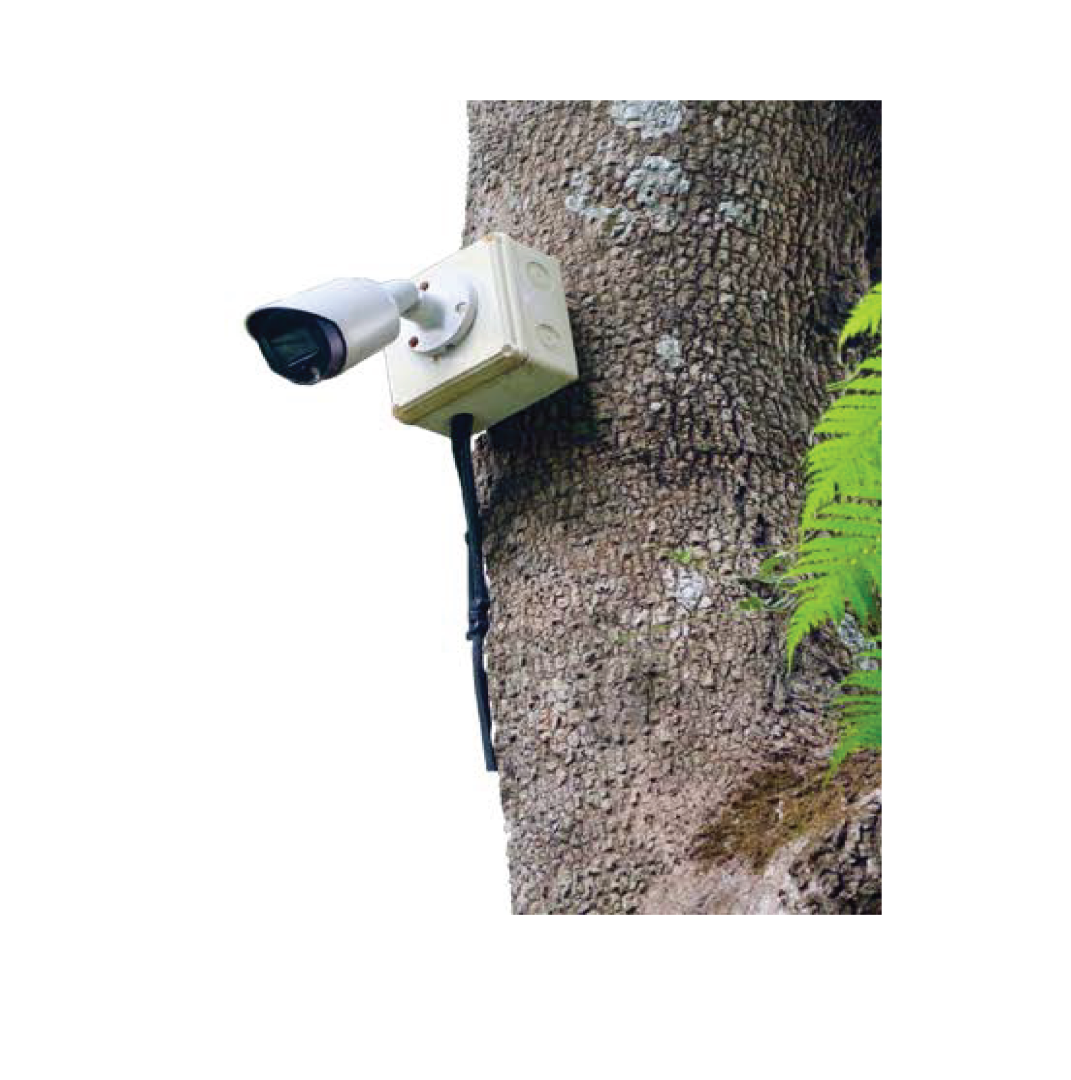 white bg-52