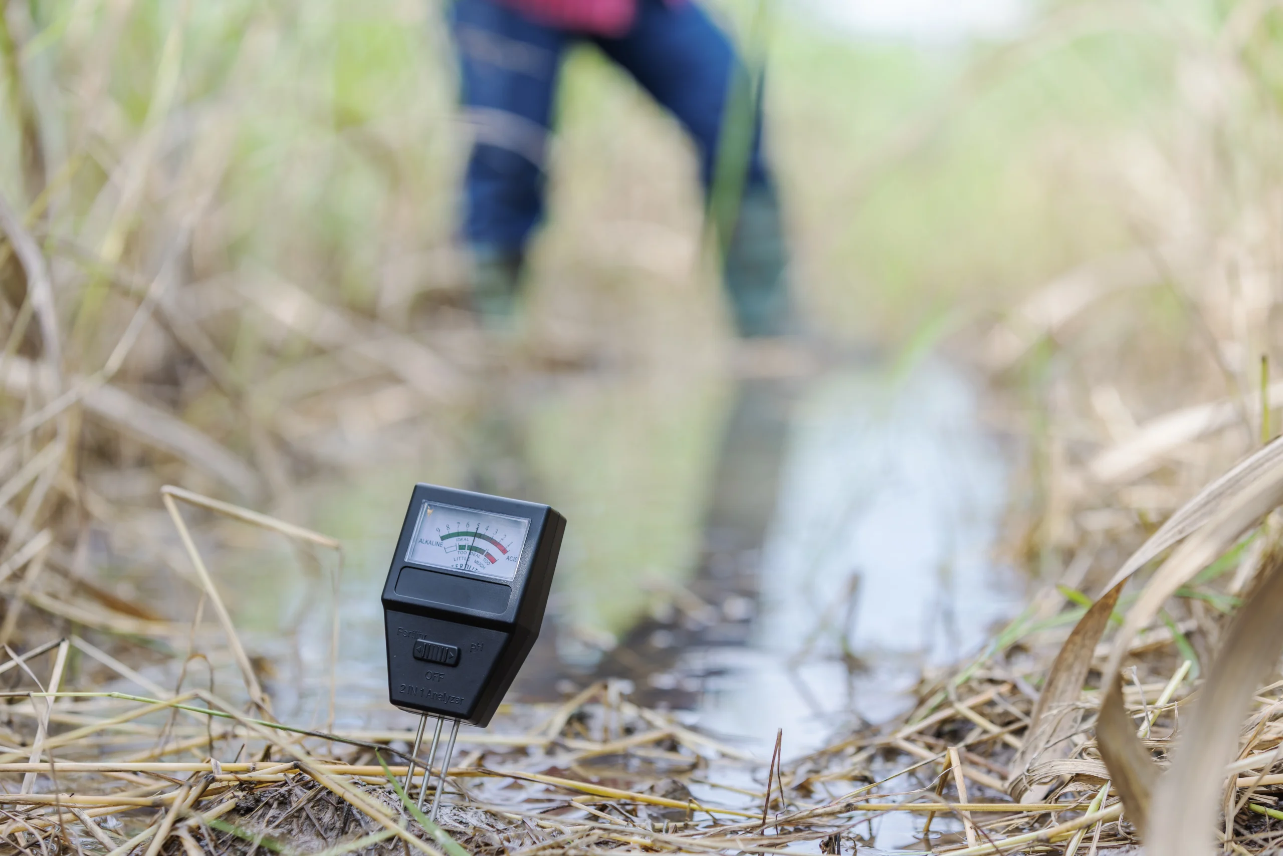 soil moisture 1